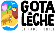casino online dinero real